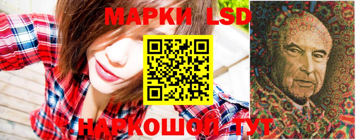 Псилоцибиновые грибы Бузулук