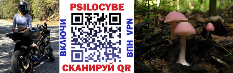 Псилоцибиновые грибы Magic Shrooms  Бузулук 