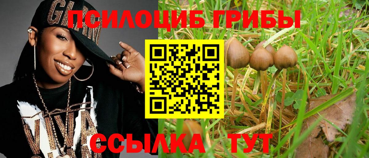 Галлюциногенные грибы MAGIC MUSHROOMS Бузулук